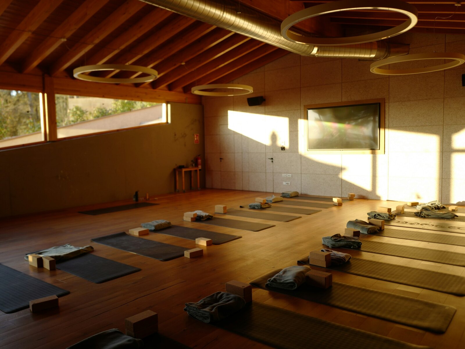 A sunlit yoga studio with a wooden floor and plants