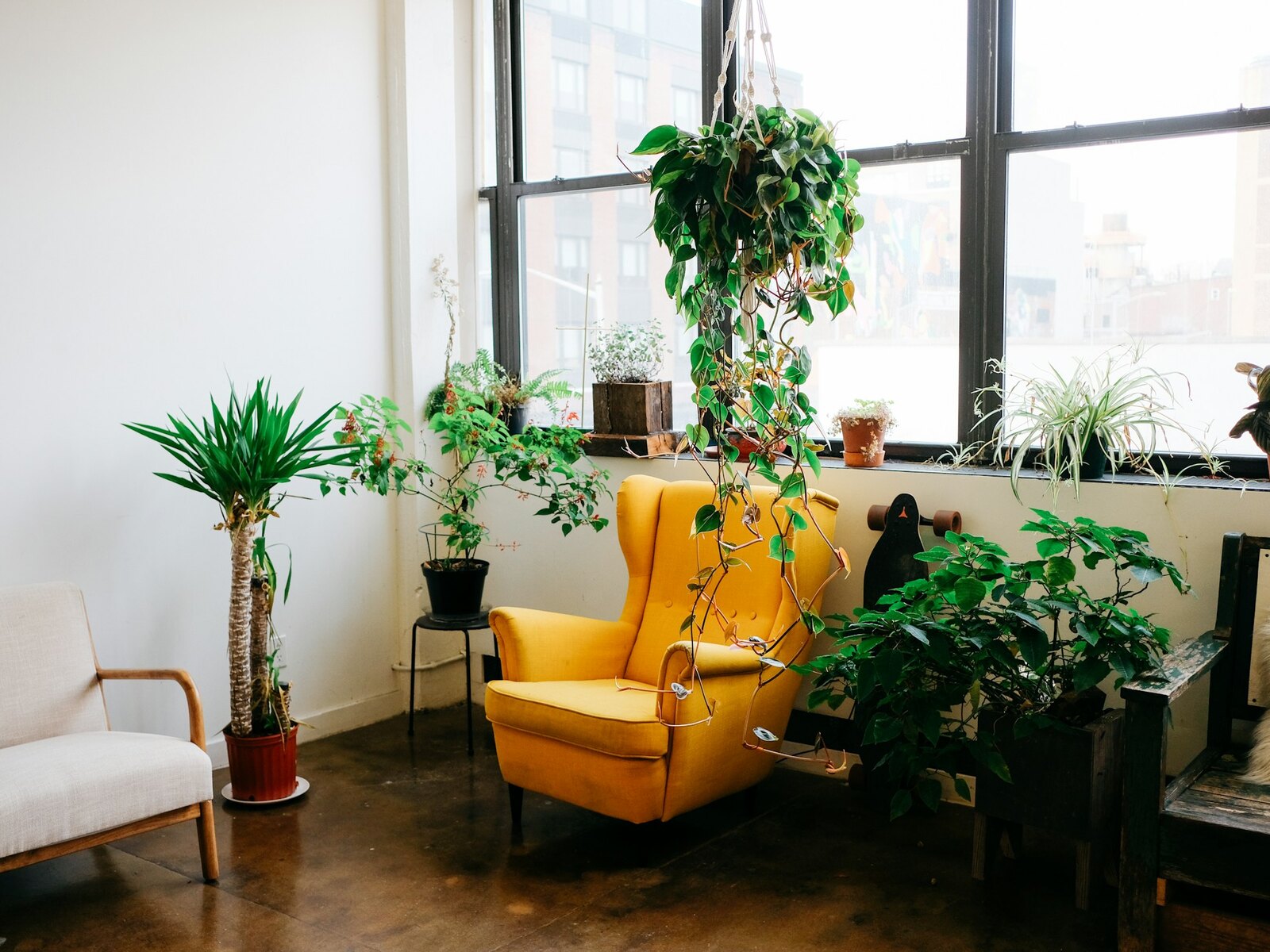 A bright, airy room with large windows and plants